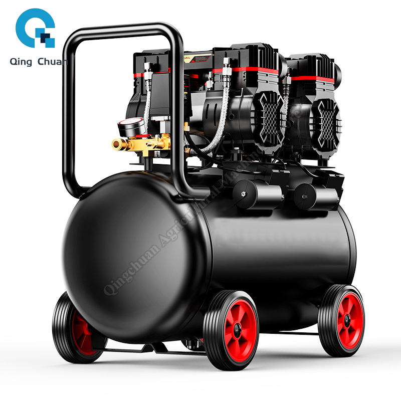 Air Compressor Small 220V 40L  - Air Compressor Mini recensione e prezzo