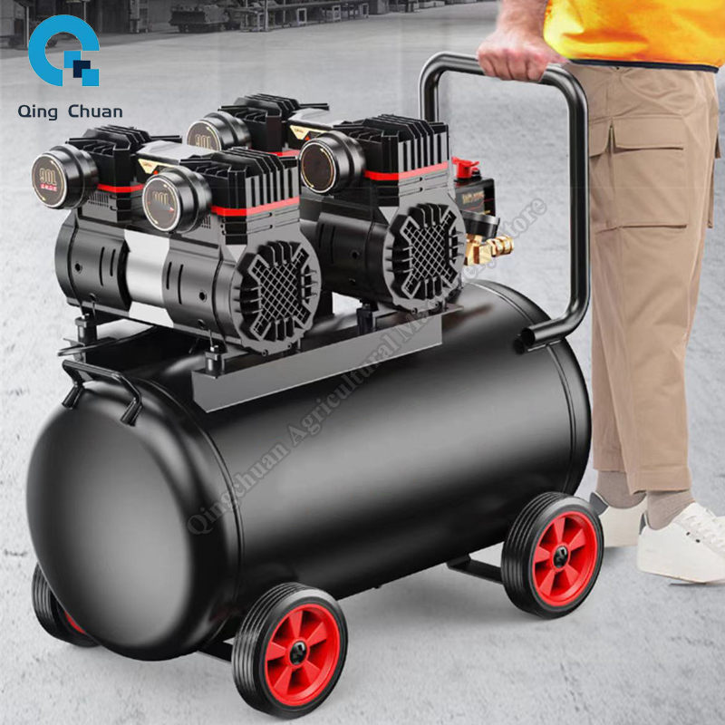 Air Compressor Small 220V 40L  - Air Compressor Mini recensione e prezzo