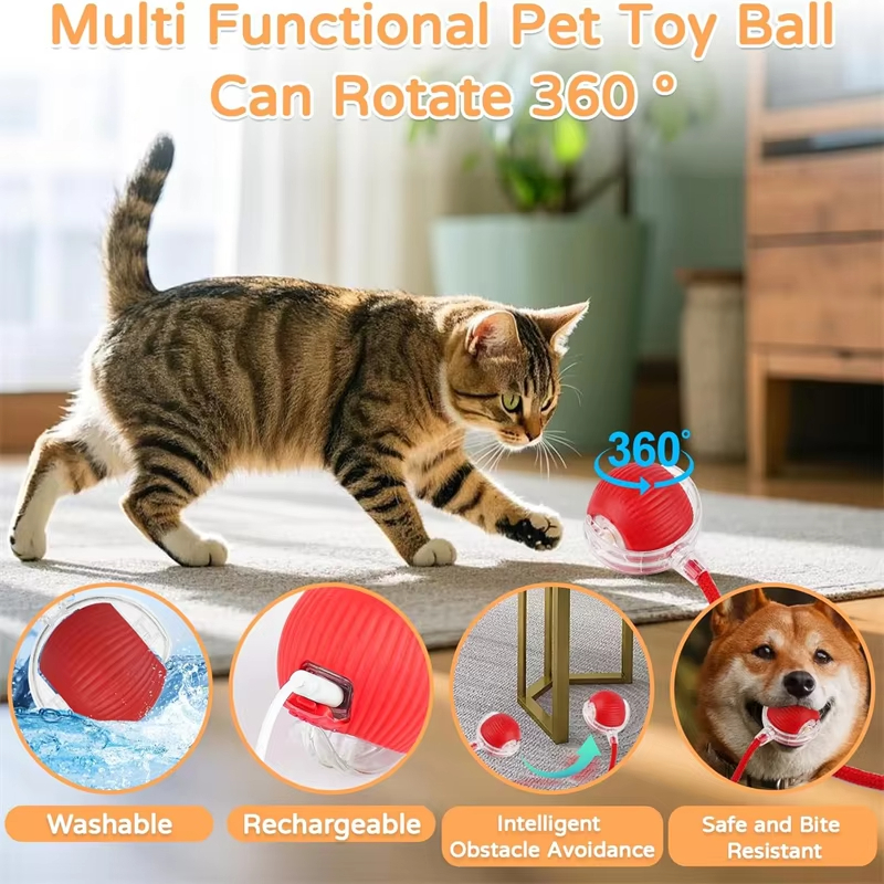 New Cat Interactive Ball Toy A - Power Tools Cat recensione e prezzo