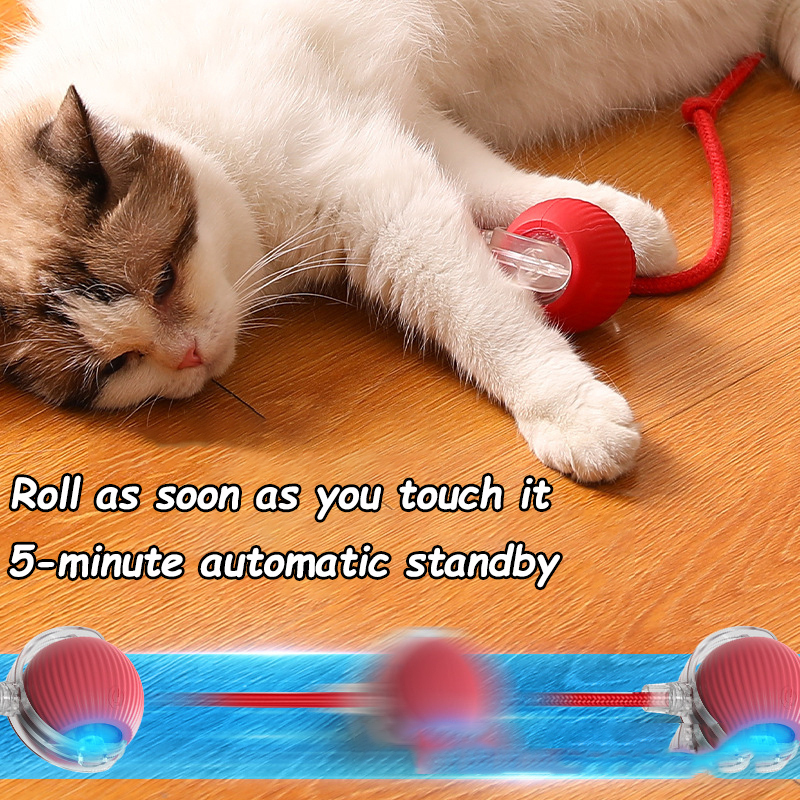 New Cat Interactive Ball Toy A - Power Tools Cat recensione e prezzo