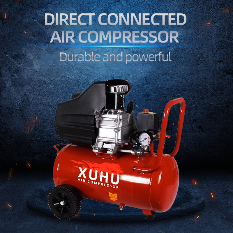 Various Mini Direct-Driven Air - Air Compressor Mini recensione e prezzo
