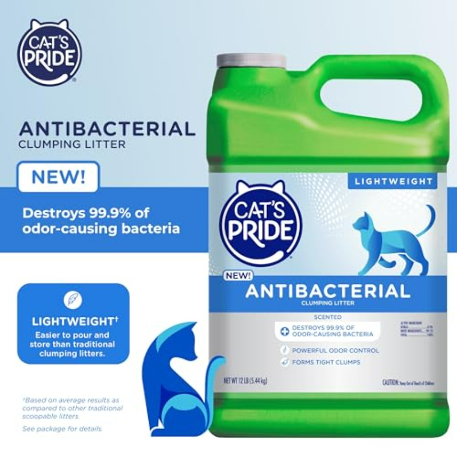 NEW Antibacterial Cat Litter:  - Power Tools Cat recensione e prezzo