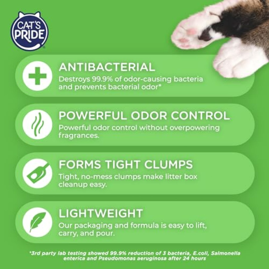 NEW Antibacterial Cat Litter:  - Power Tools Cat recensione e prezzo
