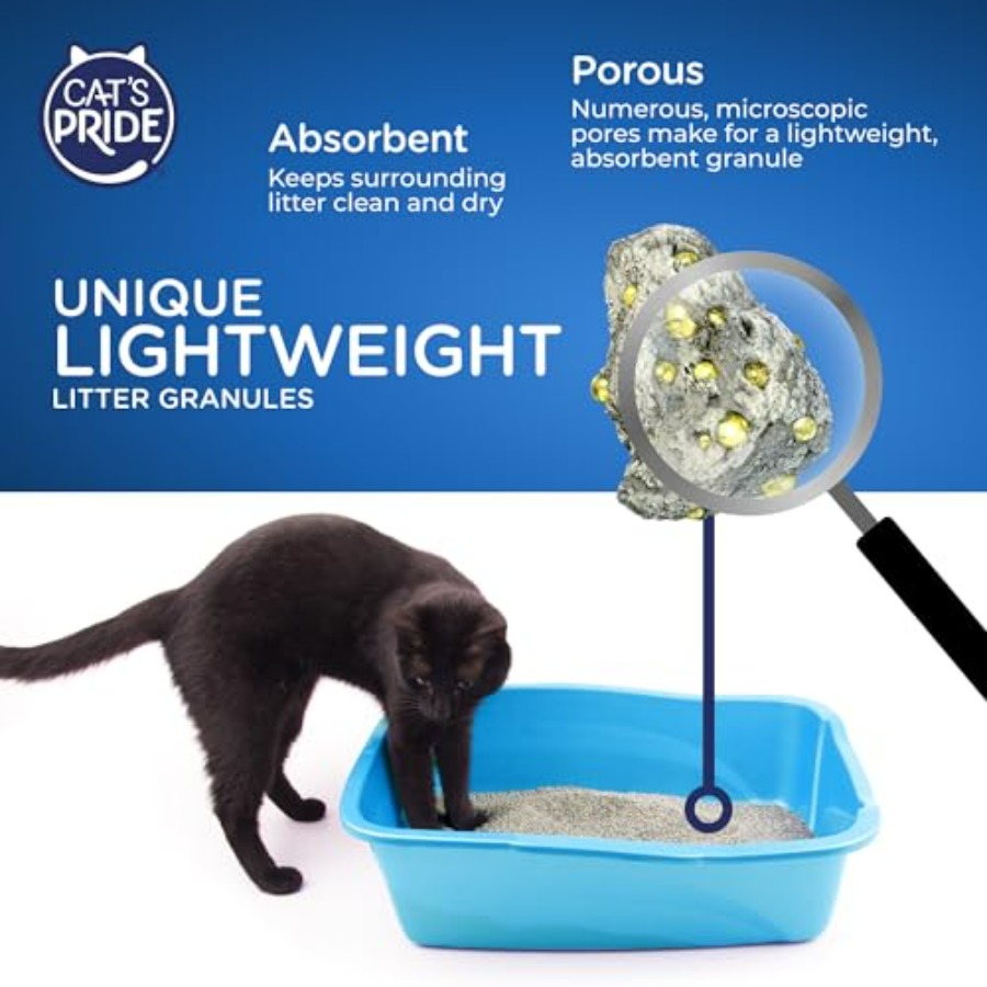 NEW Antibacterial Cat Litter:  - Power Tools Cat recensione e prezzo