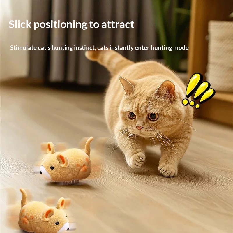 Cat toy electric hamster pet t - Power Tools Cat recensione e prezzo