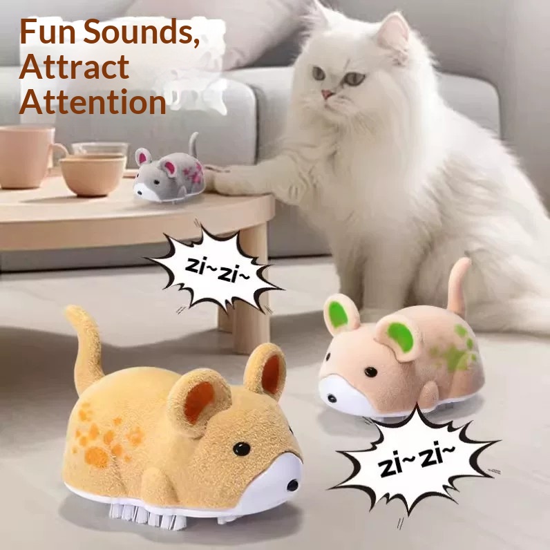 Cat toy electric hamster pet t - Power Tools Cat recensione e prezzo
