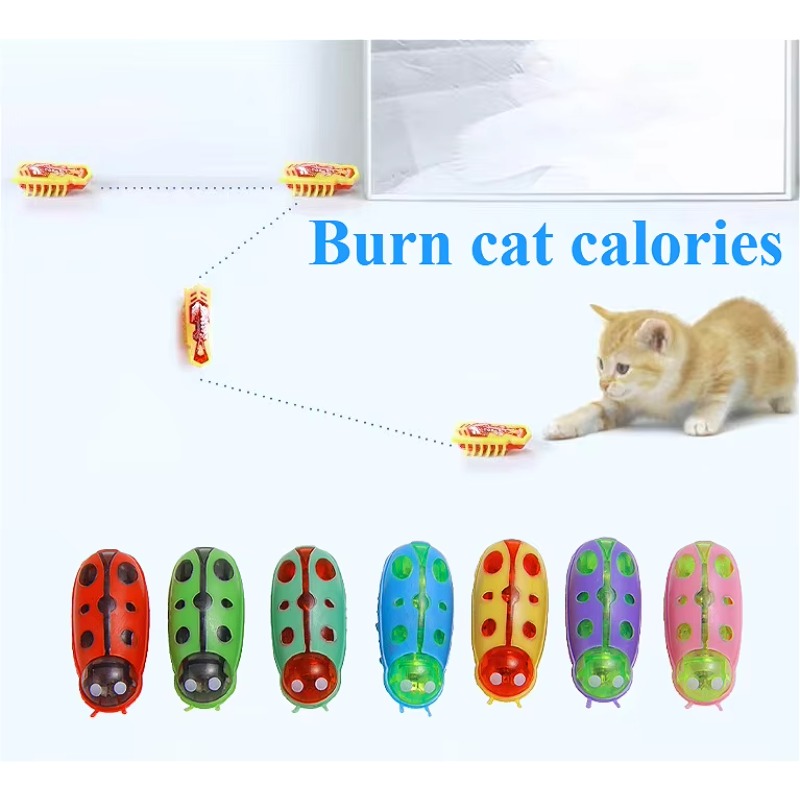 Pet Toys Electric Lifelike Mic - Power Tools Cat recensione e prezzo
