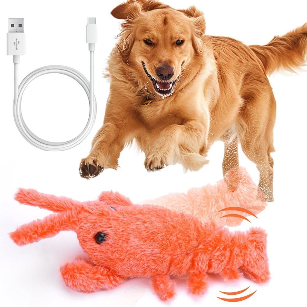 USB Charging Lobster Cats Toy  - Power Tools Cat recensione e prezzo